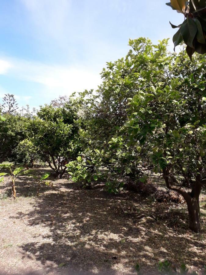 Casa Agrumeto Stromboli Dış mekan fotoğraf